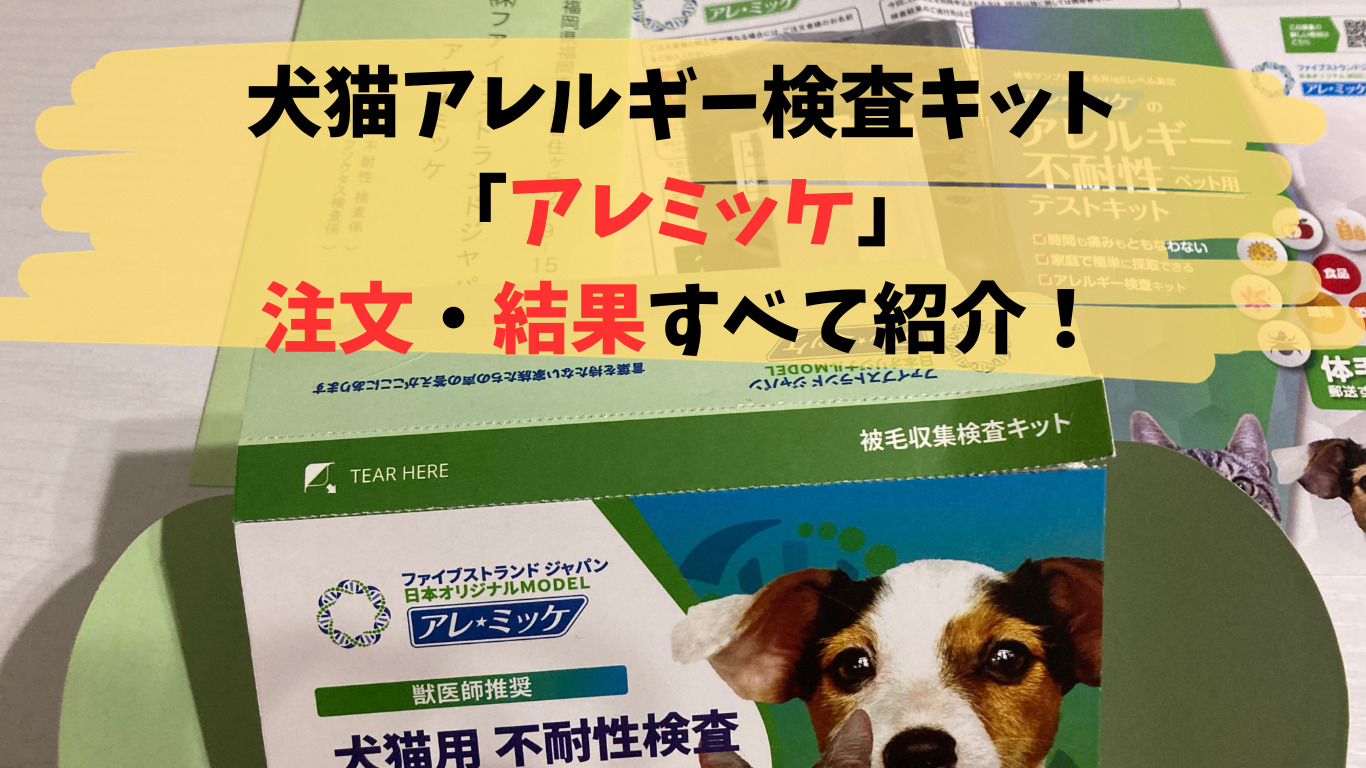 犬ナコアレルギー検査キッドアレミッケ注文結果すべて紹介！