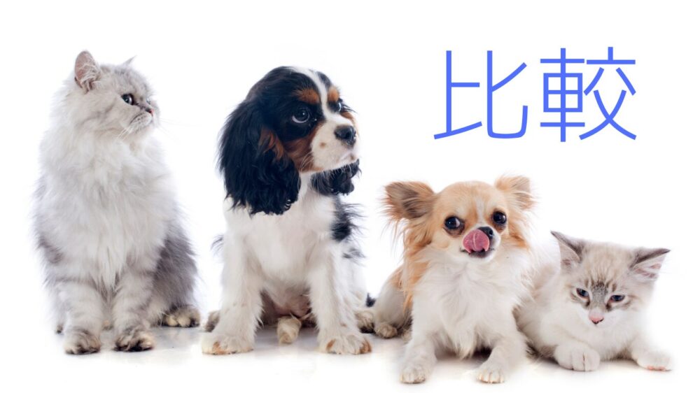 複数の犬猫たち