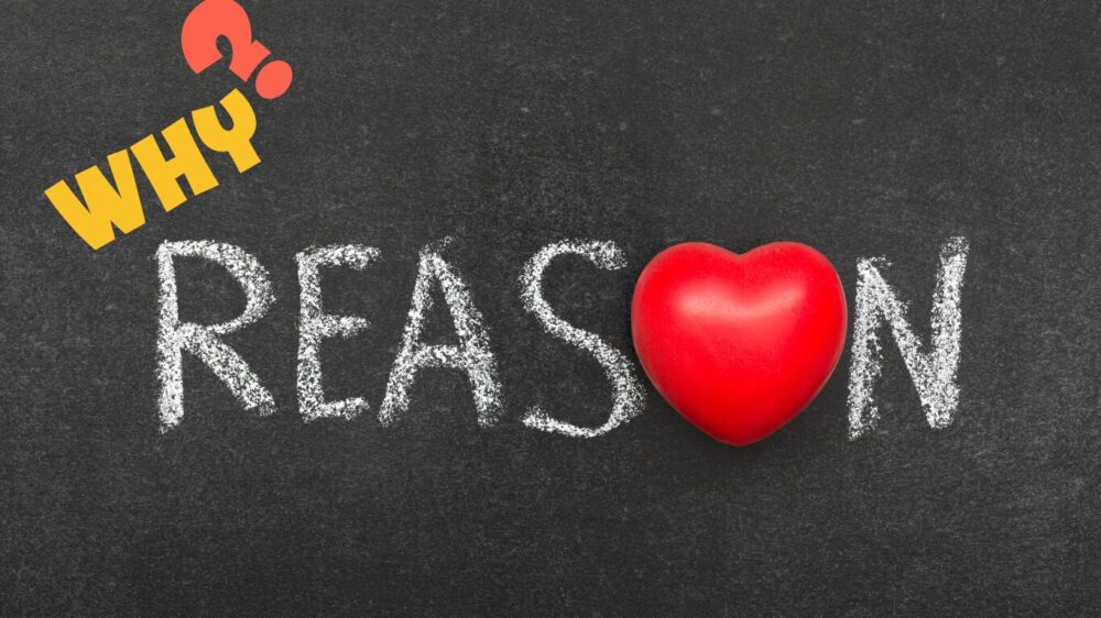 黒板風の背景にWHY？とREASONと表示