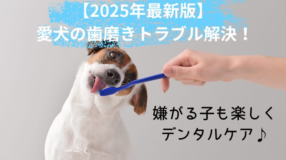 犬の歯磨きトラブル解決
